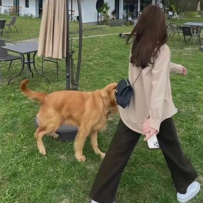 解忧之父子除魔